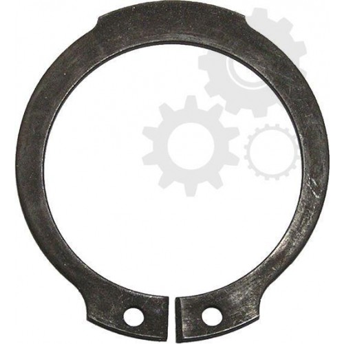 Outer Seeger rings