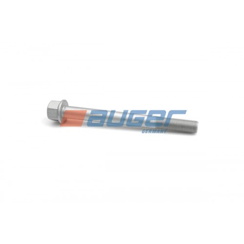 Leaf spring fixing bolt