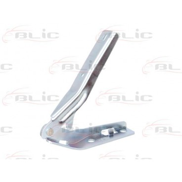 Elemente capota motor