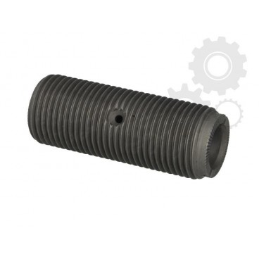 Leaf spring bolt