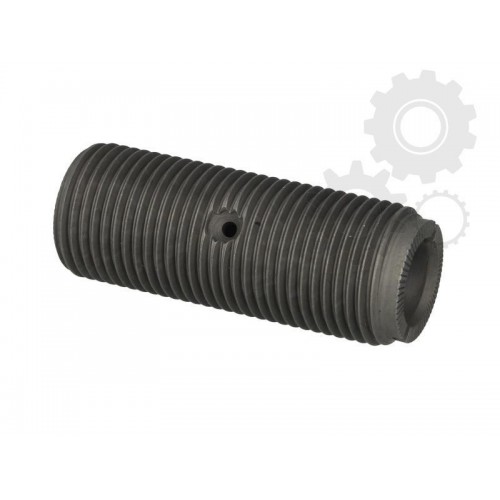 Leaf spring bolt