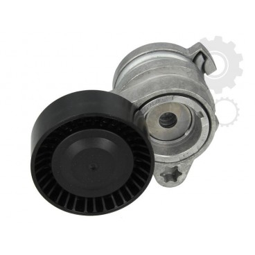 Intinzator curea
