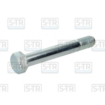 Leaf spring bolt