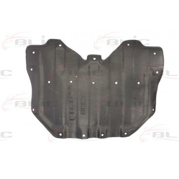 Scut motor/cutie viteze