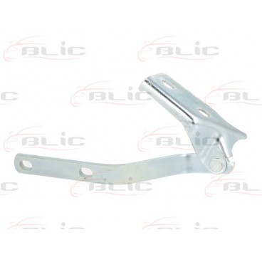 Elemente capota motor