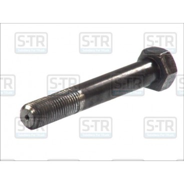 Shock absorber bolt
