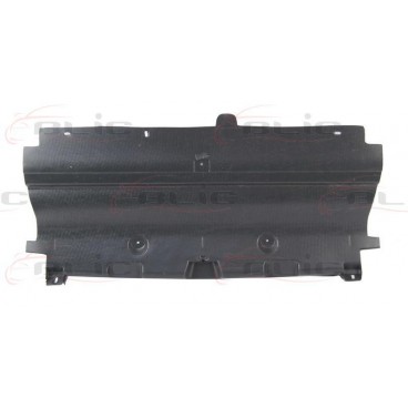 Scut motor/cutie viteze