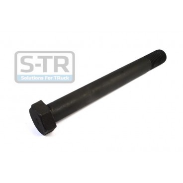 Leaf spring fixing bolt