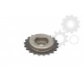Pinion ax cu came