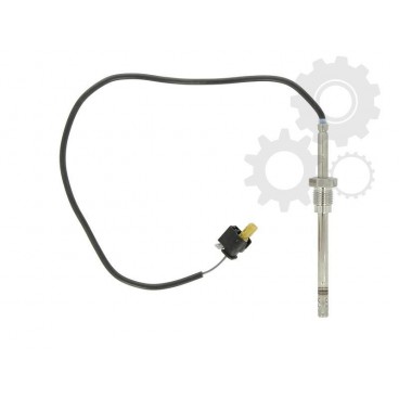 Senzor temperatura evacuare