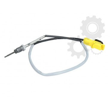 Senzor temperatura evacuare