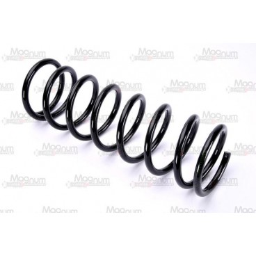Arc suspensie axa spate
