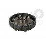 Controlor pozitie ax cu came