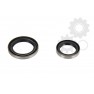 Crankshaft oil seals
