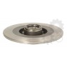Brake disk with bearing