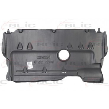 Scut motor/cutie viteze