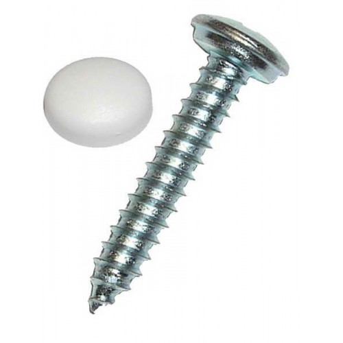 Galvanized screws