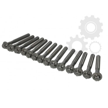 Set bolturi chiulasa