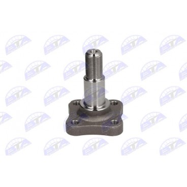 Articulatie axa spate