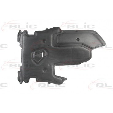 Scut motor/cutie viteze