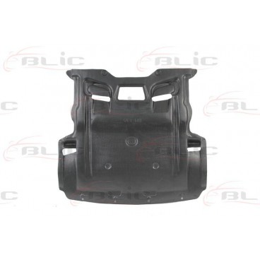 Scut motor/cutie viteze