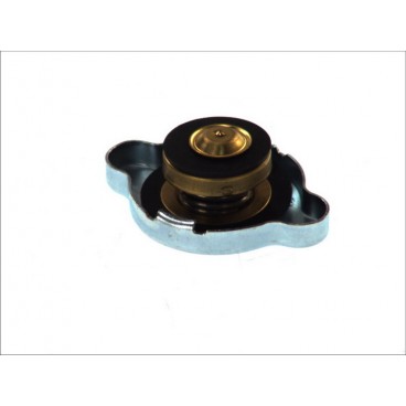 Capac vas expansiune