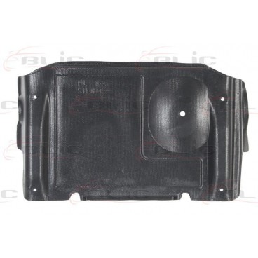 Scut motor/cutie viteze