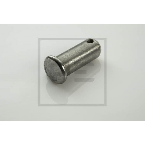 Brake shoe pivot