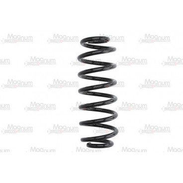 Arc suspensie axa spate