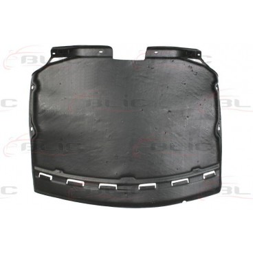 Scut motor/cutie viteze