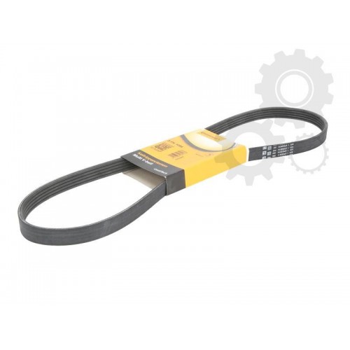 Curea transmisie canelata