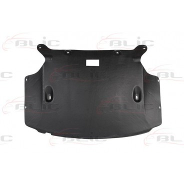 Scut motor/cutie viteze