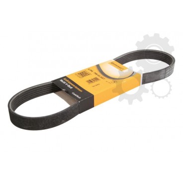 Curea transmisie canelata