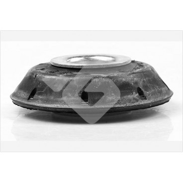 Amortizor suspensie Mc Pherson