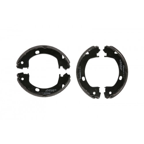 Sabot frana