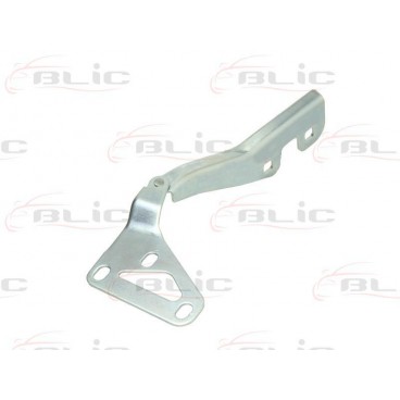 Elemente capota motor