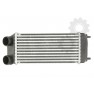 Radiator aer