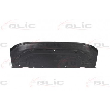 Scut motor/cutie viteze