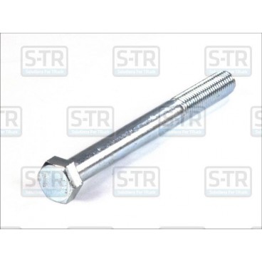 Shock absorber bolt