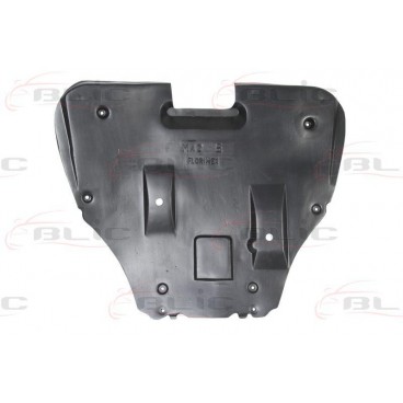 Scut motor/cutie viteze