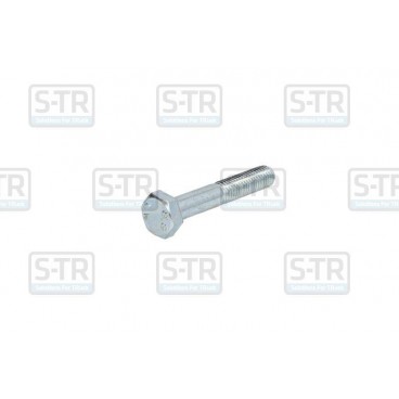 Galvanized Hex bolts