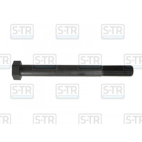 Leaf spring bolt