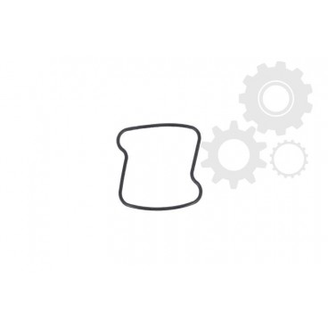 Garnitura bujie scantie