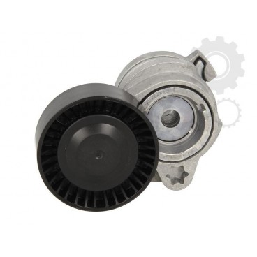 Intinzator curea
