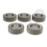 Pinion cutie viteze