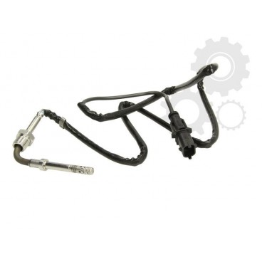 Senzor temperatura evacuare