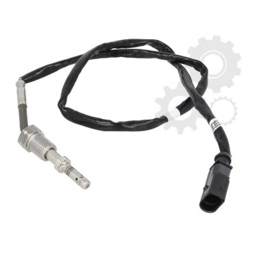 Senzor temperatura evacuare