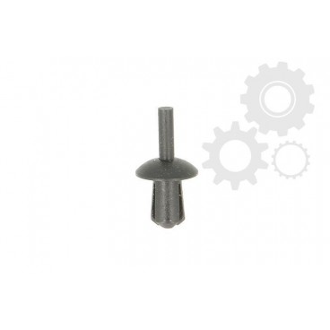 Piese de origine RVI