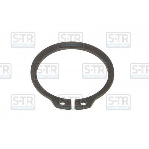 Outer Seeger rings