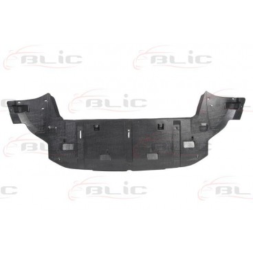 Scut motor/cutie viteze